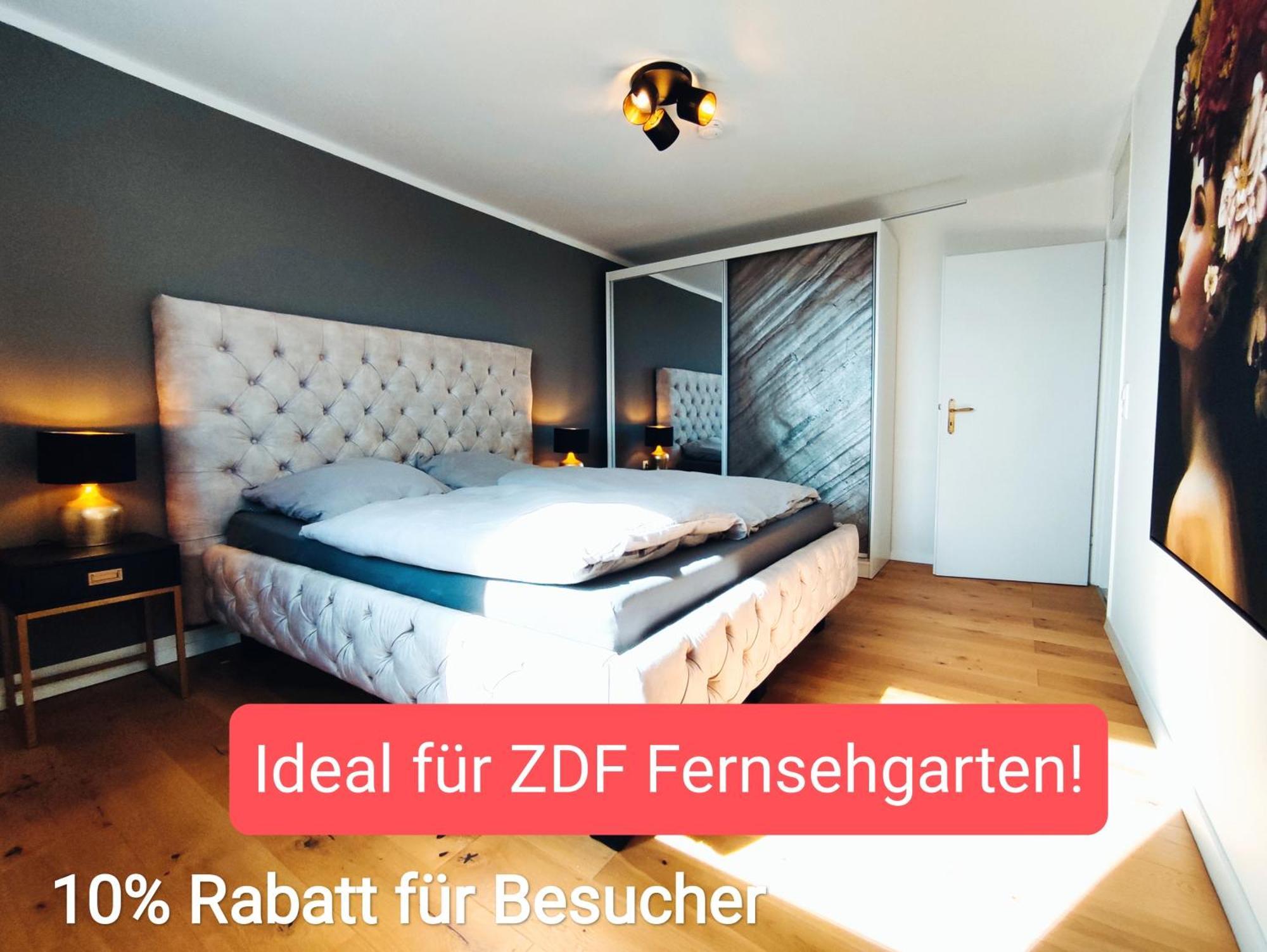 Penthouse-Feeling Bei Zdf - Straba Zur Innenstadt ماينتس المظهر الخارجي الصورة